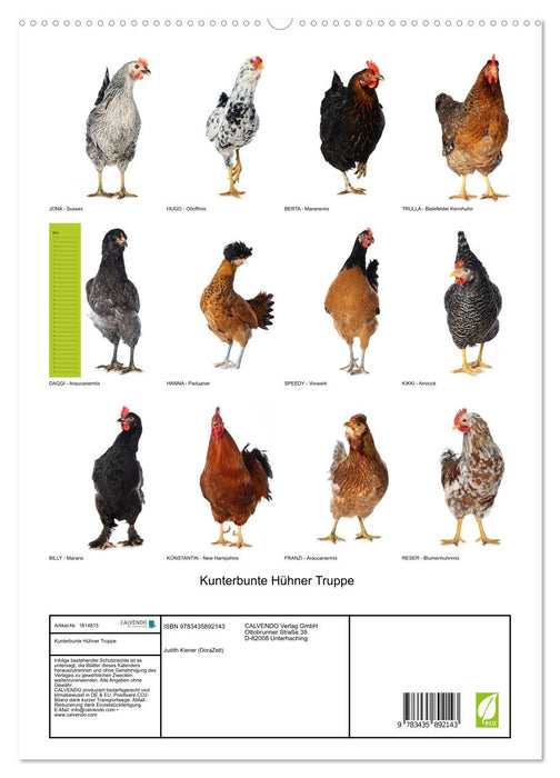 Kunterbunte Hühner Truppe (CALVENDO Premium Wandkalender 2025)