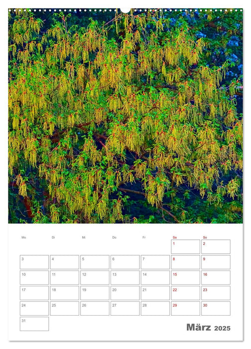 Planen mit dem Symbol der inneren Stärke (CALVENDO Wandkalender 2025)