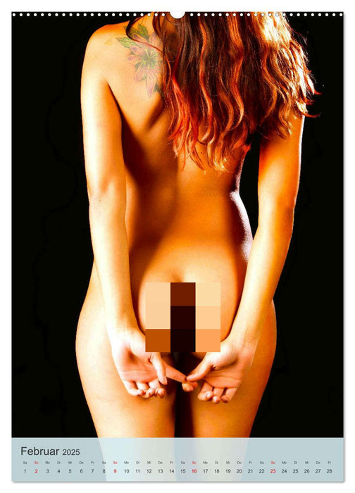 Erotische Frauen. Sexy. Reizend. Verführerisch. (CALVENDO Premium Wandkalender 2025)