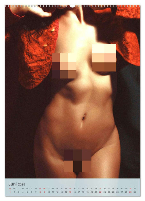 Erotische Frauen. Sexy. Reizend. Verführerisch. (CALVENDO Premium Wandkalender 2025)