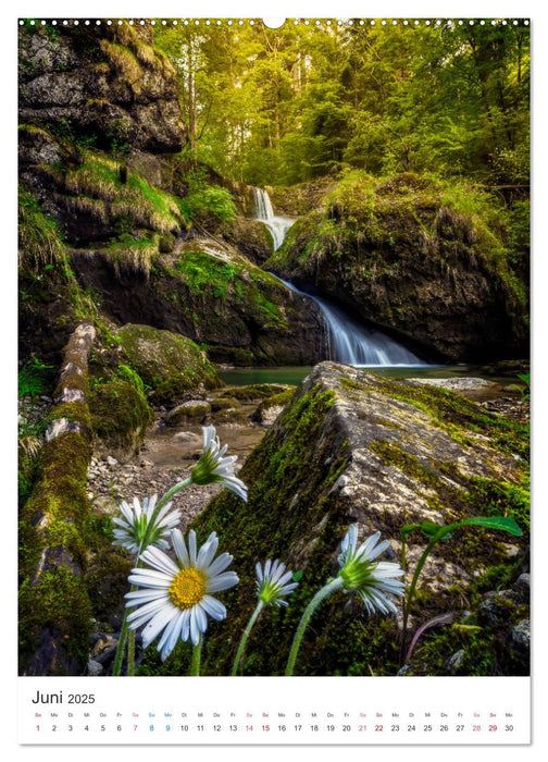 Allgäuer Wasserfälle (CALVENDO Premium Wandkalender 2025)