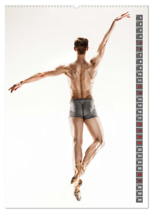 Sinneseindruck Ballett (CALVENDO Wandkalender 2025)