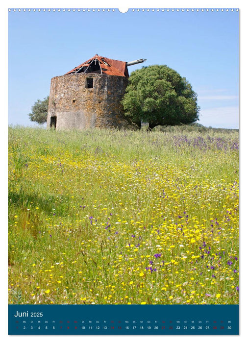 Erlebnis Windmühle (CALVENDO Premium Wandkalender 2025)