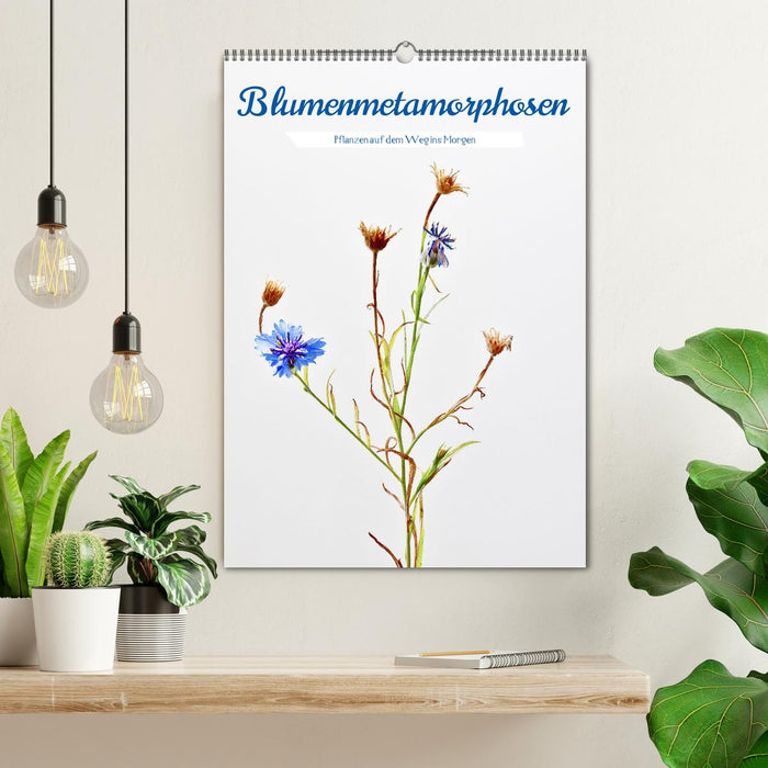 Blumenmetamorphosen (CALVENDO Wandkalender 2025)