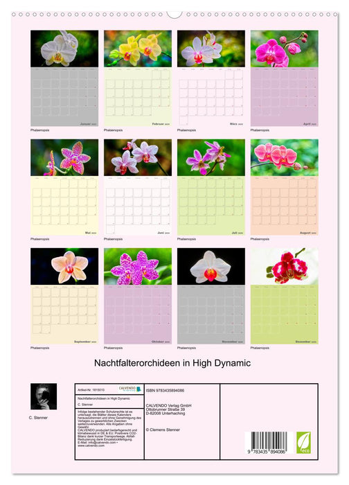 Nachtfalterorchideen in High Dynamic (CALVENDO Premium Wandkalender 2025)