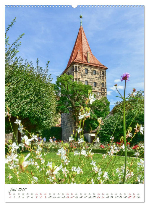 Nürnberg Ab in die Natur (CALVENDO Wandkalender 2025)