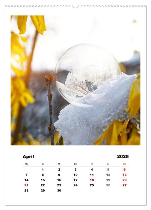 Frostige Seifenblasen (CALVENDO Premium Wandkalender 2025)