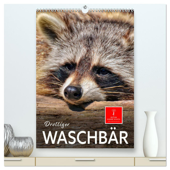 Drolliger Waschbär (CALVENDO Premium Wandkalender 2025)