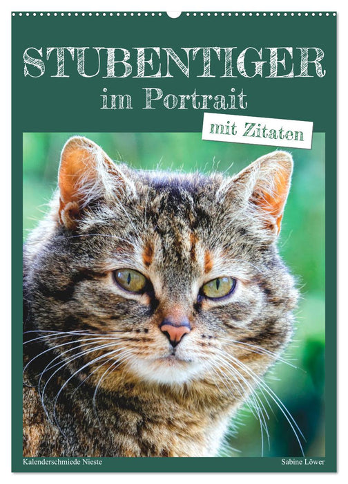 Stubentiger im Portrait (CALVENDO Wandkalender 2025)