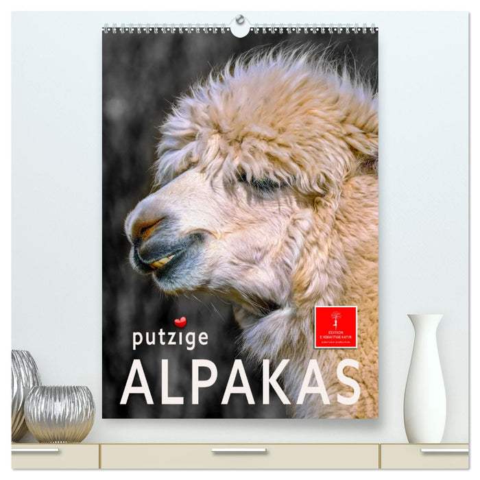 Putzige Alpakas (CALVENDO Premium Wandkalender 2025)