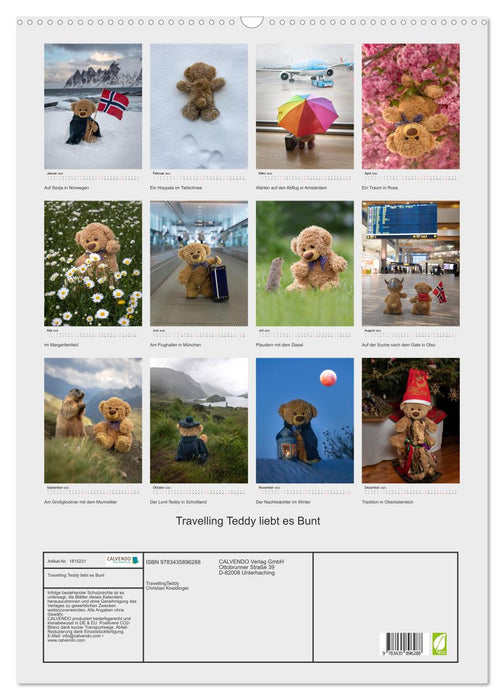 Travelling Teddy liebt es Bunt (CALVENDO Wandkalender 2025)