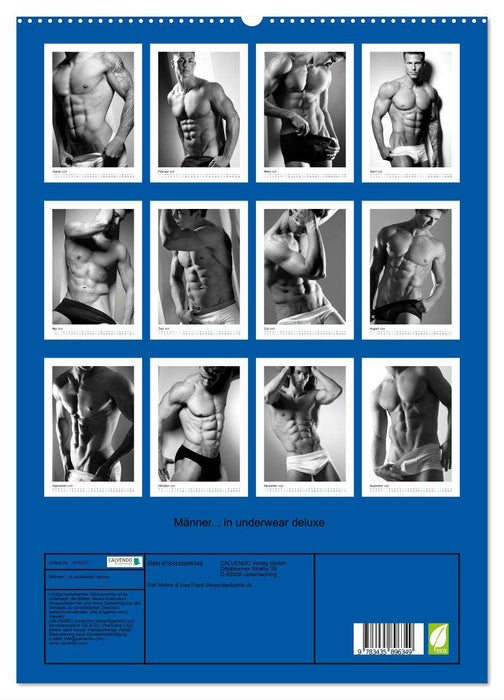 Männer... in underwear deluxe (CALVENDO Premium Wandkalender 2025)