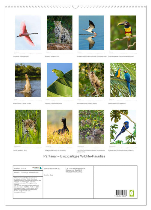 Pantanal – Einzigartiges Wildlife-Paradies (CALVENDO Wandkalender 2025)