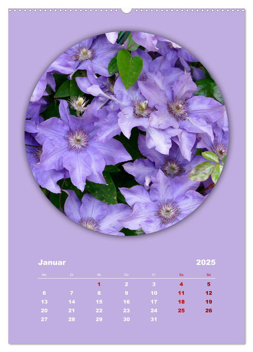 Rundherum Natur (CALVENDO Wandkalender 2025)