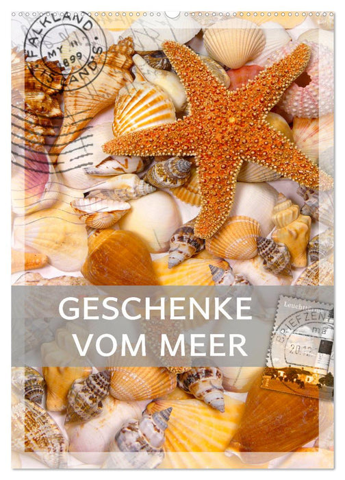 Geschenke vom Meer (CALVENDO Wandkalender 2025)