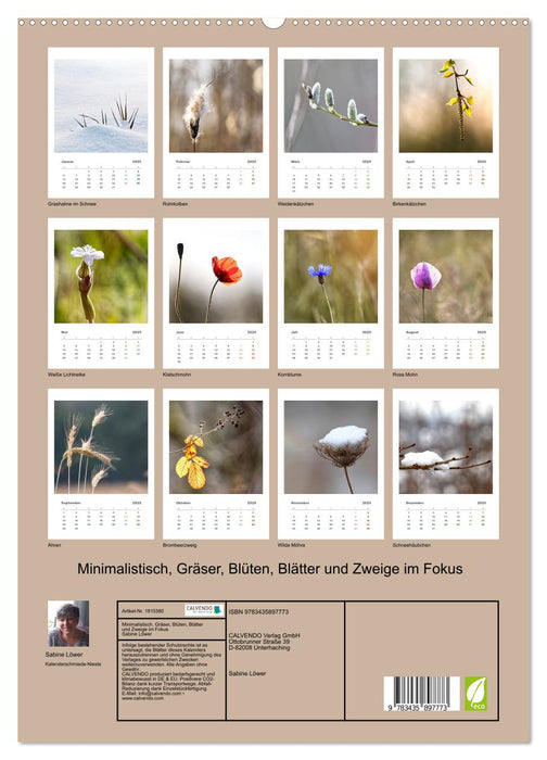 Minimalistisch, Gräser, Blüten, Blätter und Zweige im Fokus (CALVENDO Premium Wandkalender 2025)