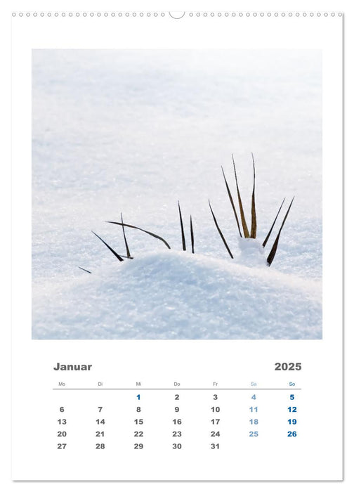 Minimalistisch, Gräser, Blüten, Blätter und Zweige im Fokus (CALVENDO Premium Wandkalender 2025)