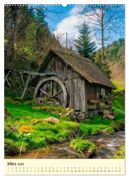 Abenteuer Nationalpark in Deutschland (CALVENDO Premium Wandkalender 2025)