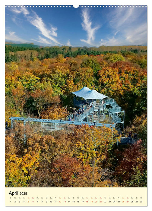 Abenteuer Nationalpark in Deutschland (CALVENDO Premium Wandkalender 2025)