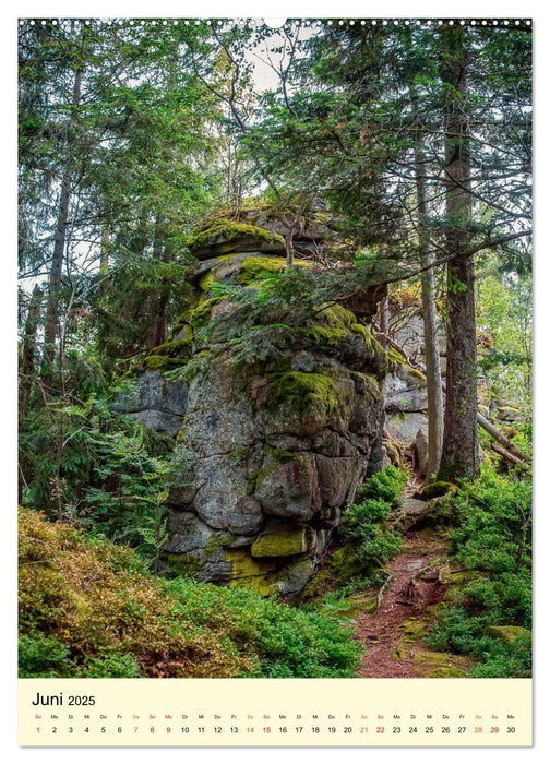 Abenteuer Nationalpark in Deutschland (CALVENDO Premium Wandkalender 2025)