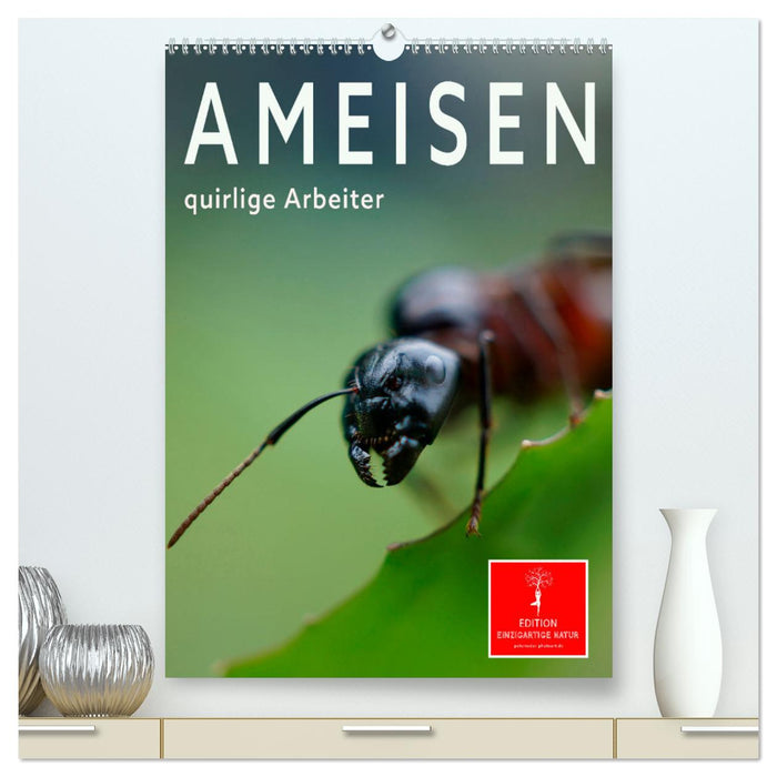 Ameisen quirlige Arbeiter (CALVENDO Premium Wandkalender 2025)