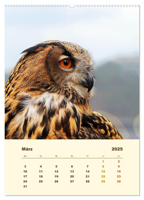 Uhu, die Faszination bernsteinfarbener Augen (CALVENDO Premium Wandkalender 2025)