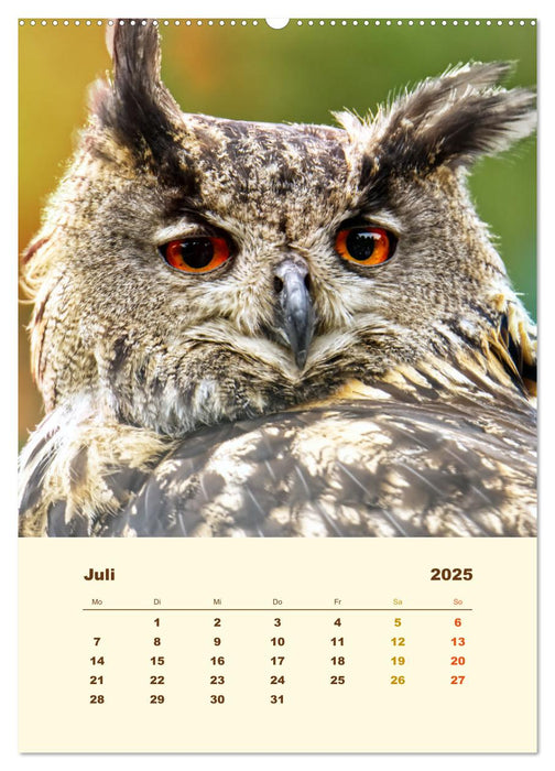 Uhu, die Faszination bernsteinfarbener Augen (CALVENDO Premium Wandkalender 2025)