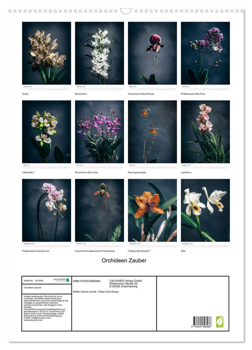 Orchideen Zauber (CALVENDO Wandkalender 2025)