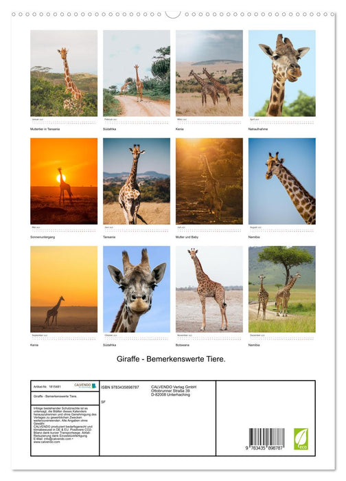 Giraffe - Bemerkenswerte Tiere. (CALVENDO Premium Wandkalender 2025)