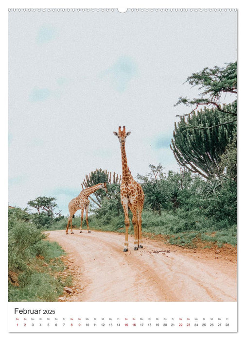 Giraffe - Bemerkenswerte Tiere. (CALVENDO Premium Wandkalender 2025)