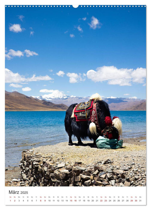 Tibet - Eine faszinierende Reise nach Asien. (CALVENDO Premium Wandkalender 2025)