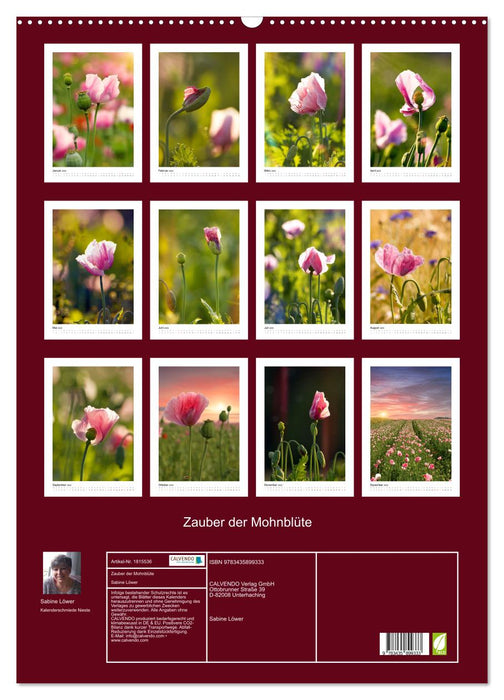 Zauber der Mohnblüte (CALVENDO Wandkalender 2025)