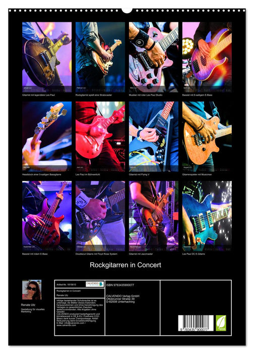 Rockgitarren in Concert (CALVENDO Premium Wandkalender 2025)