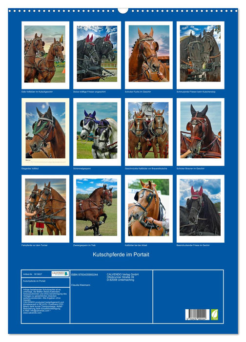 Kutschpferde im Portait (CALVENDO Wandkalender 2025)