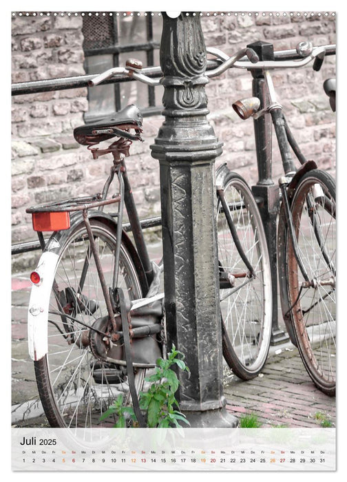 Fahrrad Alltag (CALVENDO Premium Wandkalender 2025)