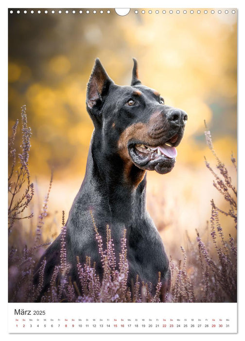 Hunde - Unsere treuen Wegbegleiter. (CALVENDO Wandkalender 2025)