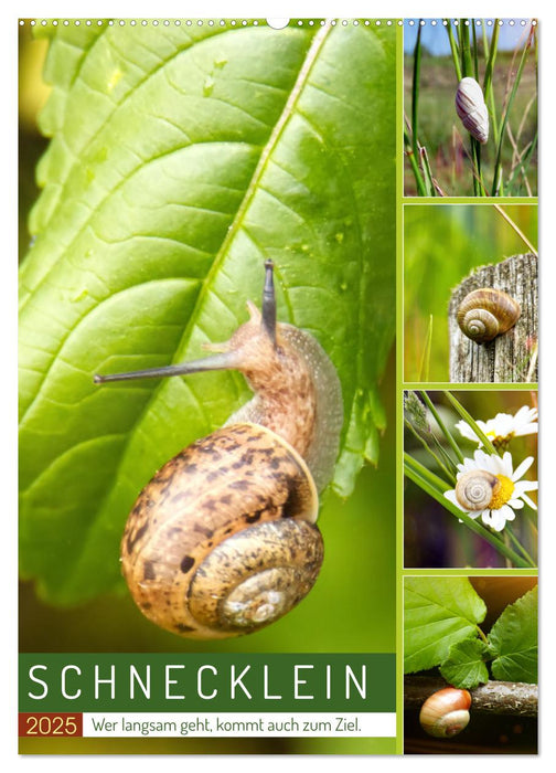 Schnecklein (CALVENDO Wandkalender 2025)