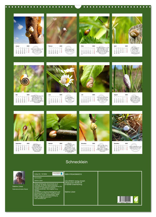 Schnecklein (CALVENDO Wandkalender 2025)