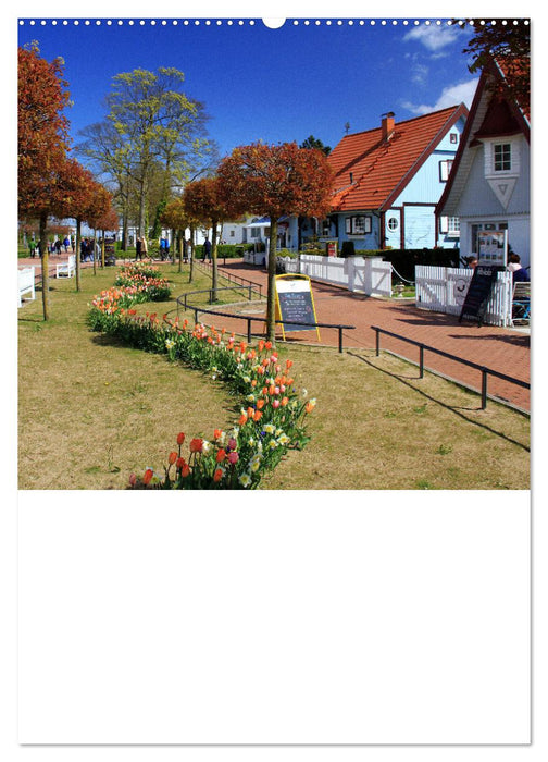Sehnsuchtsort Ostseebad Boltenhagen (CALVENDO Wandkalender 2025)