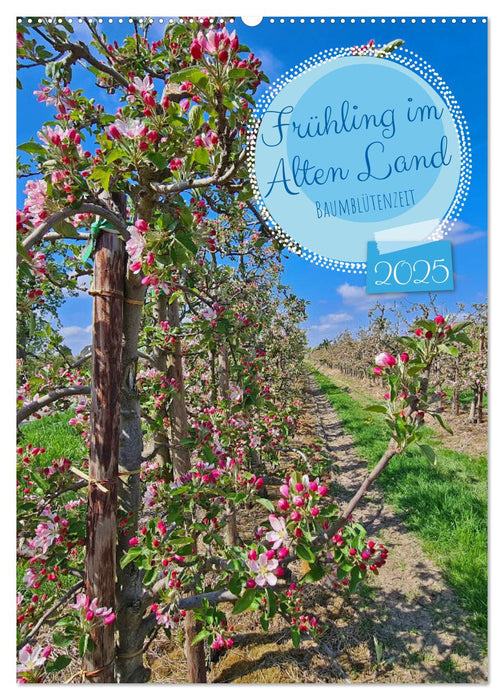 Frühling im Alten Land - Baumblütenzeit (CALVENDO Wandkalender 2025)