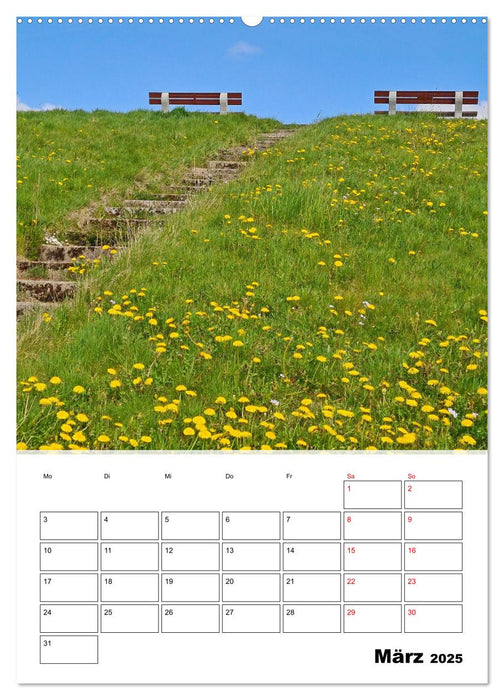 Frühling im Alten Land - Baumblütenzeit (CALVENDO Wandkalender 2025)