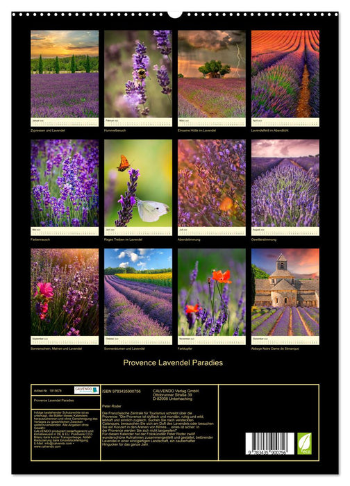 Provence Lavendel Paradies (CALVENDO Premium Wandkalender 2025)