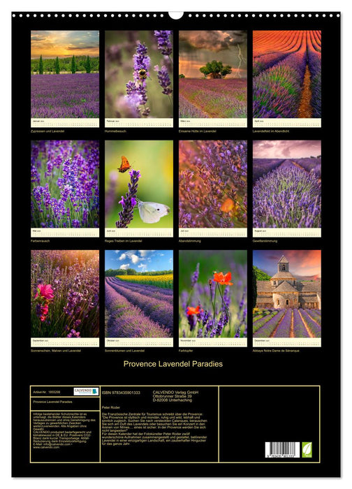 Provence Lavendel Paradies (CALVENDO Wandkalender 2025)