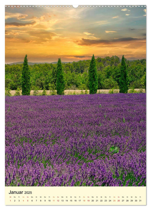 Provence Lavendel Paradies (CALVENDO Wandkalender 2025)