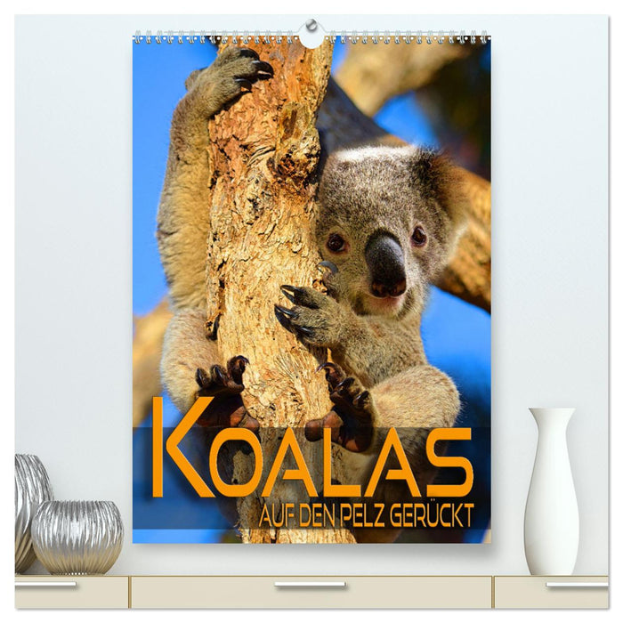 Koalas auf den Pelz gerückt (CALVENDO Premium Wandkalender 2025)