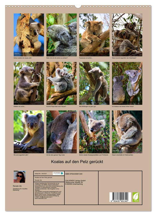 Koalas auf den Pelz gerückt (CALVENDO Premium Wandkalender 2025)