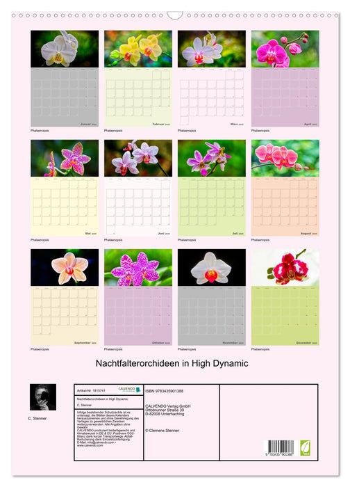 Nachtfalterorchideen in High Dynamic (CALVENDO Wandkalender 2025)