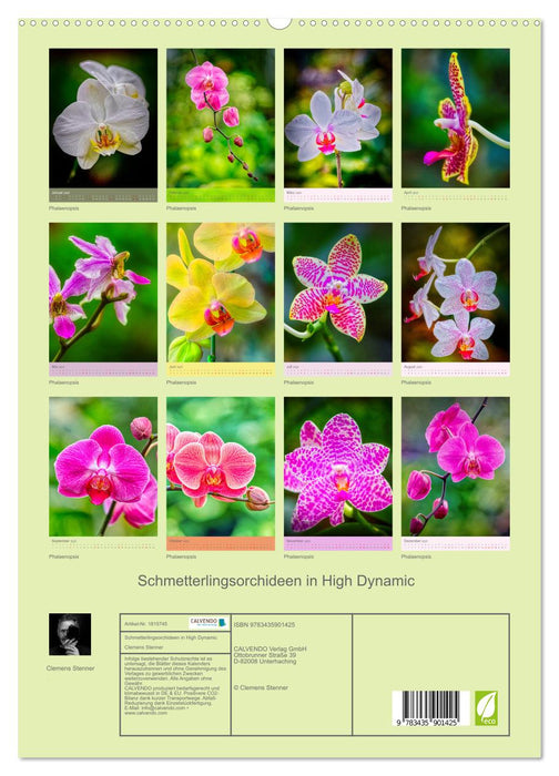 Schmetterlingsorchideen in High Dynamic (CALVENDO Premium Wandkalender 2025)