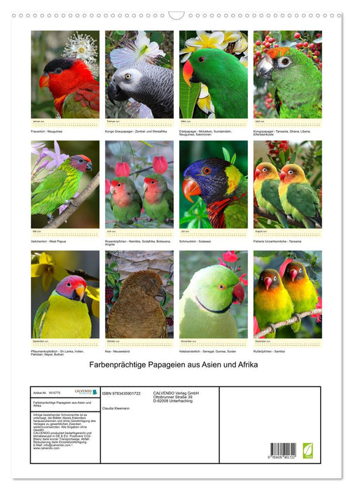Farbenprächtige Papageien aus Asien und Afrika (CALVENDO Wandkalender 2025)