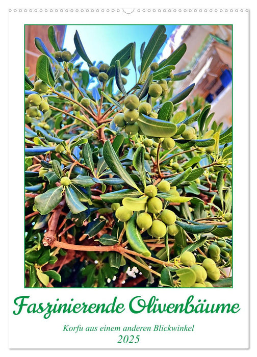 Faszinierende Olivenbäume (CALVENDO Wandkalender 2025)